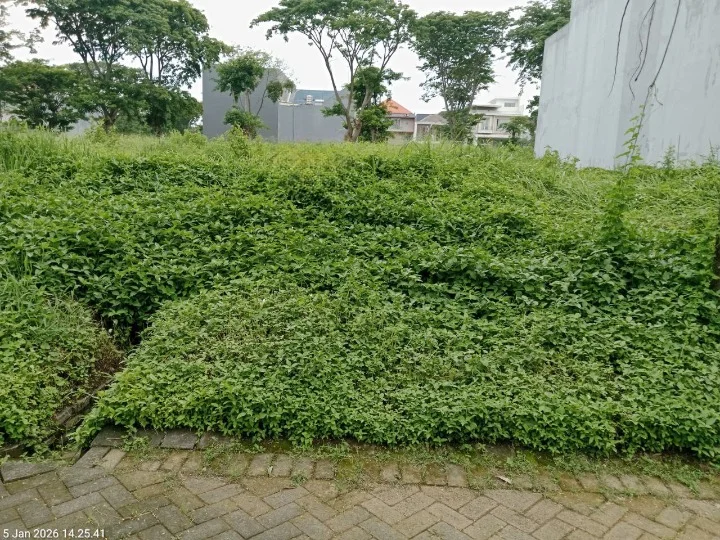 Dijual Kavling Murah Bukit Golf International Citraland Surabaya Barat - Image 1