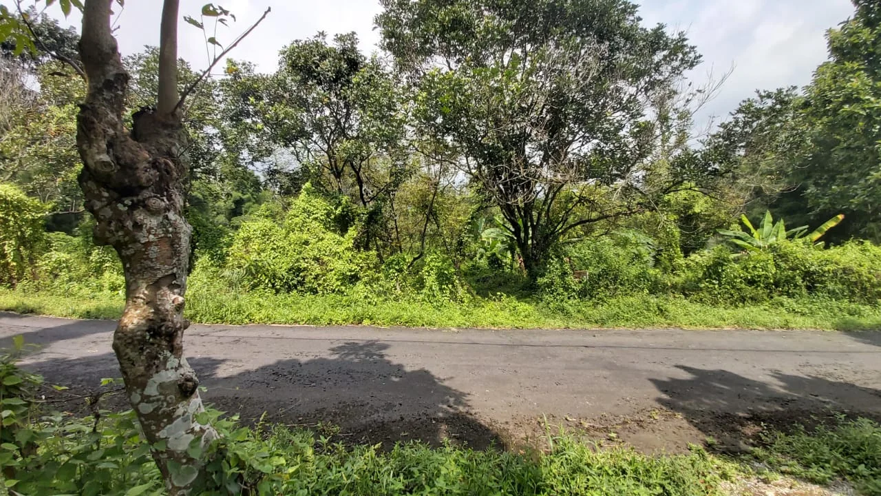 Dijual Tanah Bagus dengan Harga Murah di Ledug Tretes Pasuruan