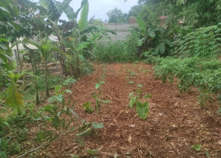 Dijual Kavling Tanah Tajur Halang Lokasi Strategis Wilayah Bogor
