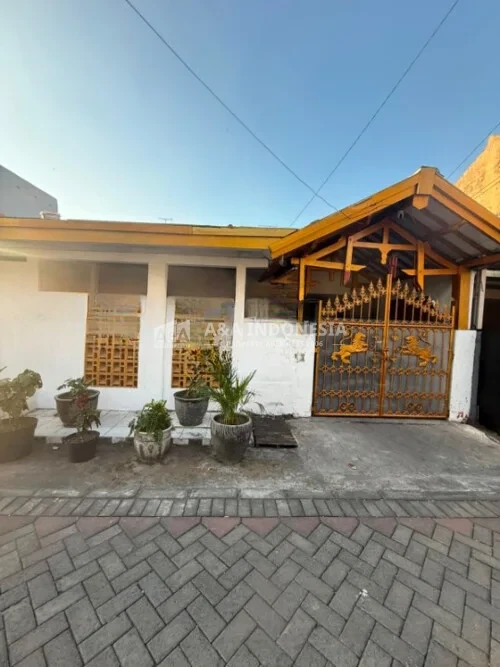 Dijual Rumah 1,5 Lantai Cocok Untuk Kos-kosan di Bratang Binangun Surabaya Timur - Image 1