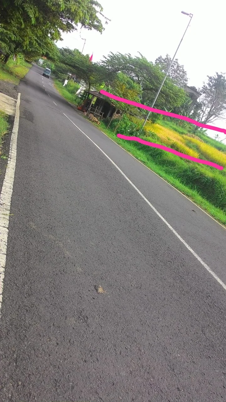Dijual Lahan Luas Komersil di Tirtowening, Bendungjati, Pacet - Mojokerto - Image 1