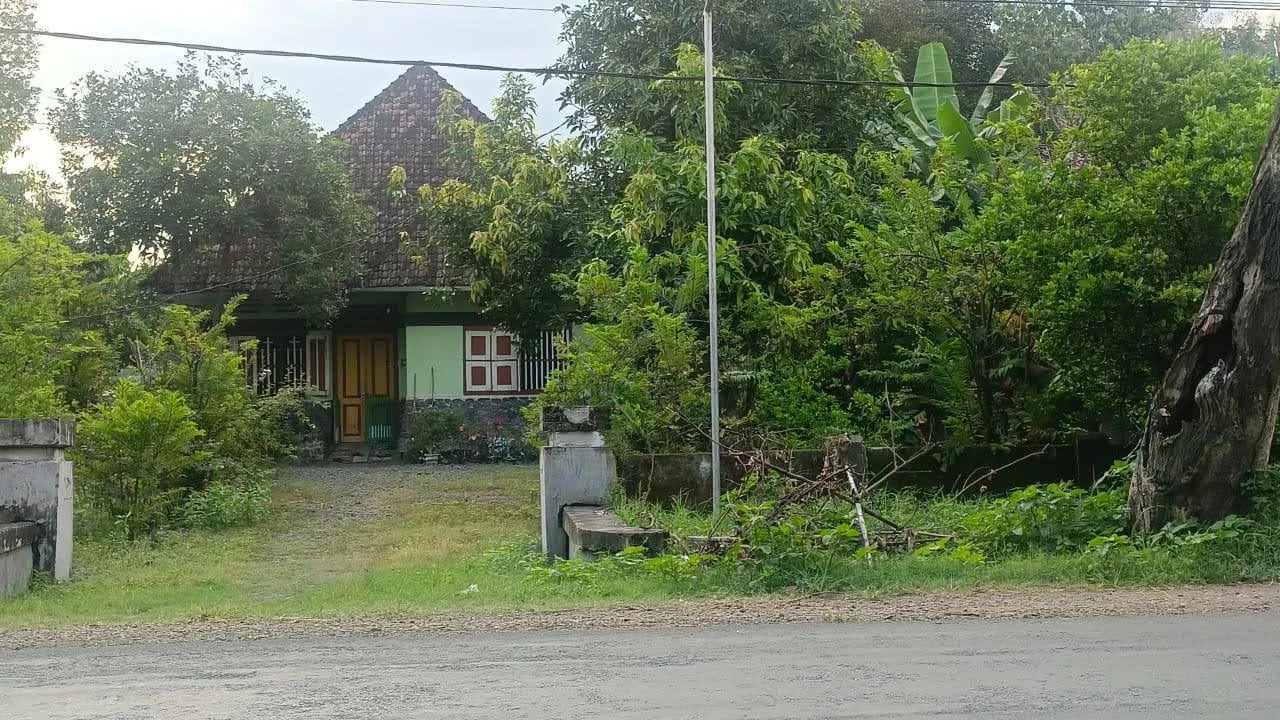 Rumah-Di-Mojojejer