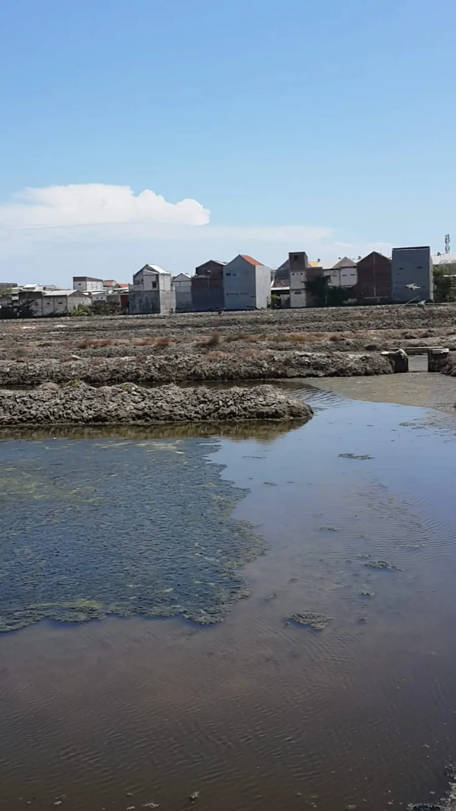 Dijual Tanah Komersil Potensial Depan JLLT Tambak Wedi Surabaya Utara - Thumbnail 2