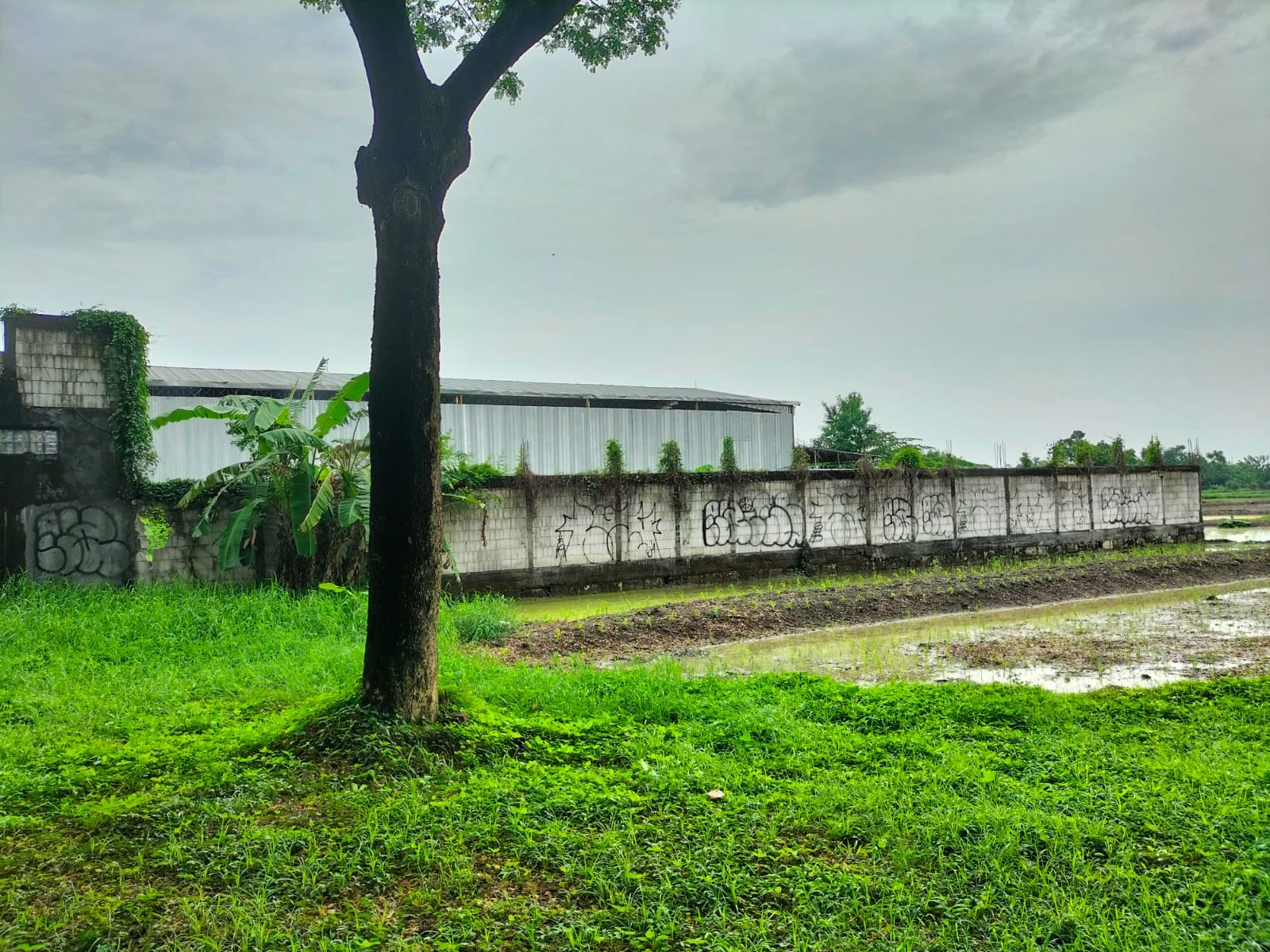 Dijual Tanah Cocok untuk Usaha/Hunian di Surabaya Barat - Thumbnail 4