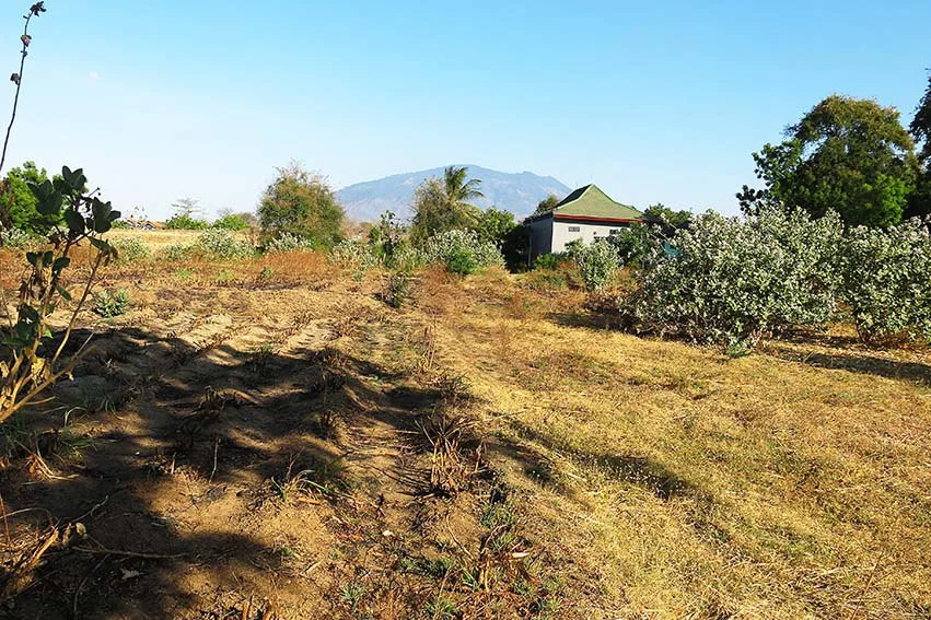 Dijual Lelang Ruko Lahan Luas Lokasi Dekat Ponpes di Situbondo - Thumbnail 3