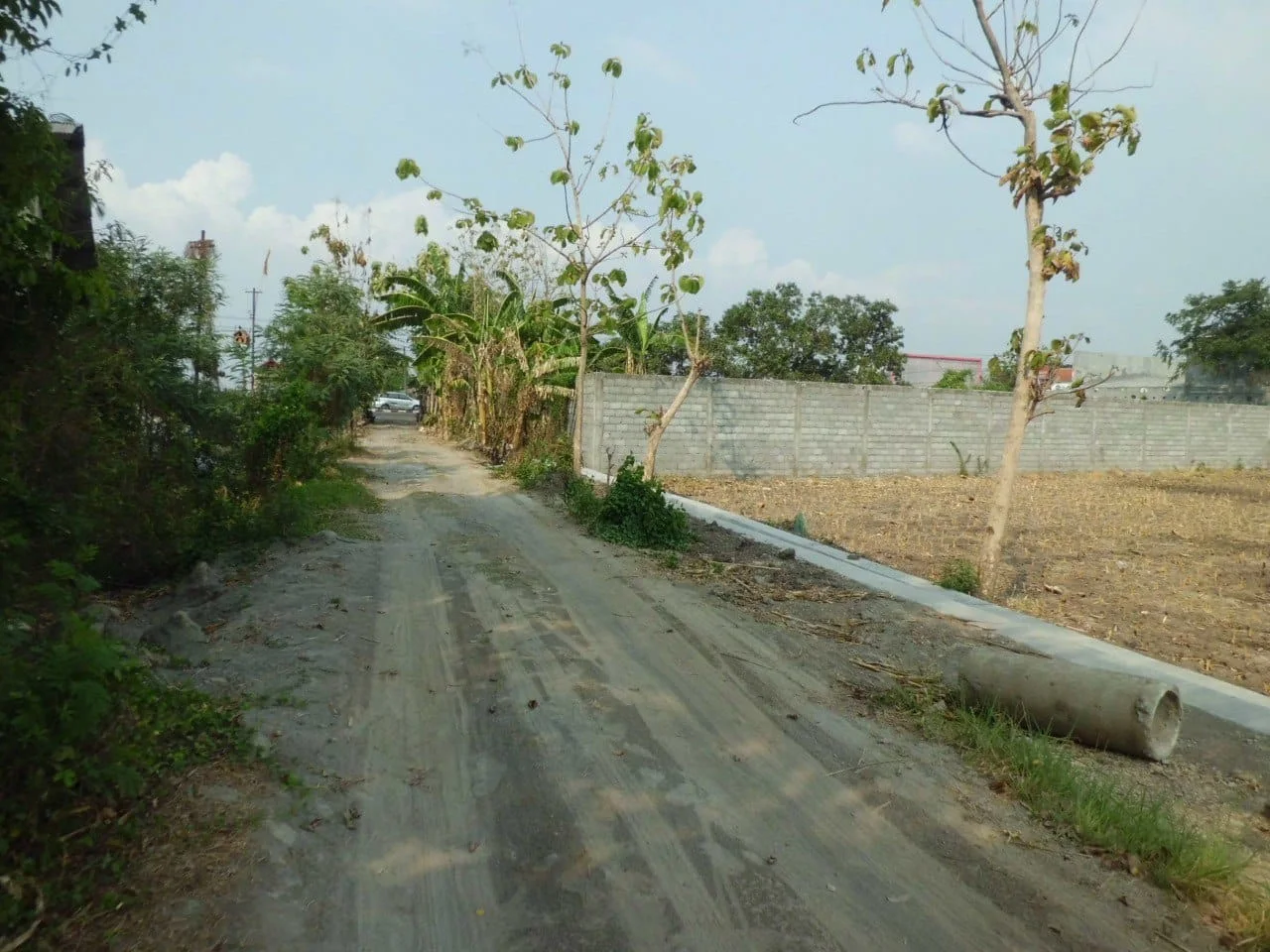 Jual Murah Lelang Tanah Kavling Mojoagung Lokasi Industri Jombang - Thumbnail 2