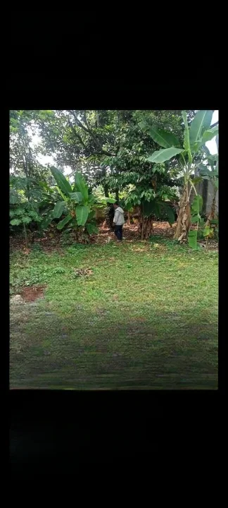 jabon-mekar-4_cleanup-1