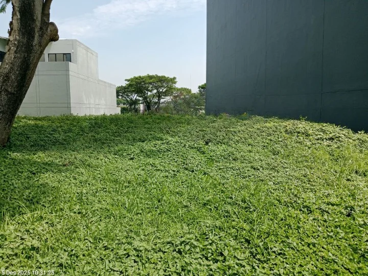 Disewakan Tanah Komersial Citraland Raya North Emerald Mansion Surabaya Barat