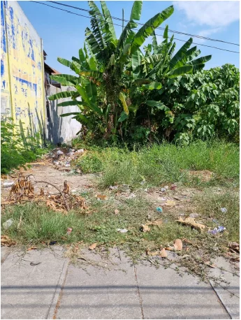 menganti