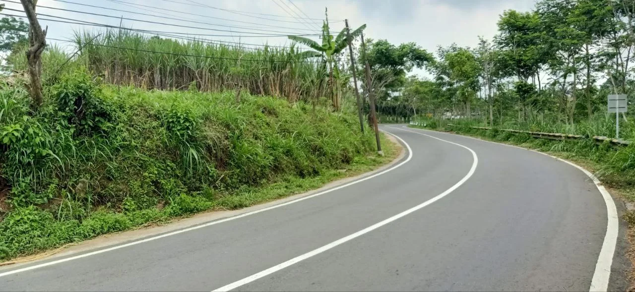 Dijual Tanah Berlokasi Strategis di Jalan Raya Dawuhan Sengon Nongkojajar Pasuruan - Thumbnail 3