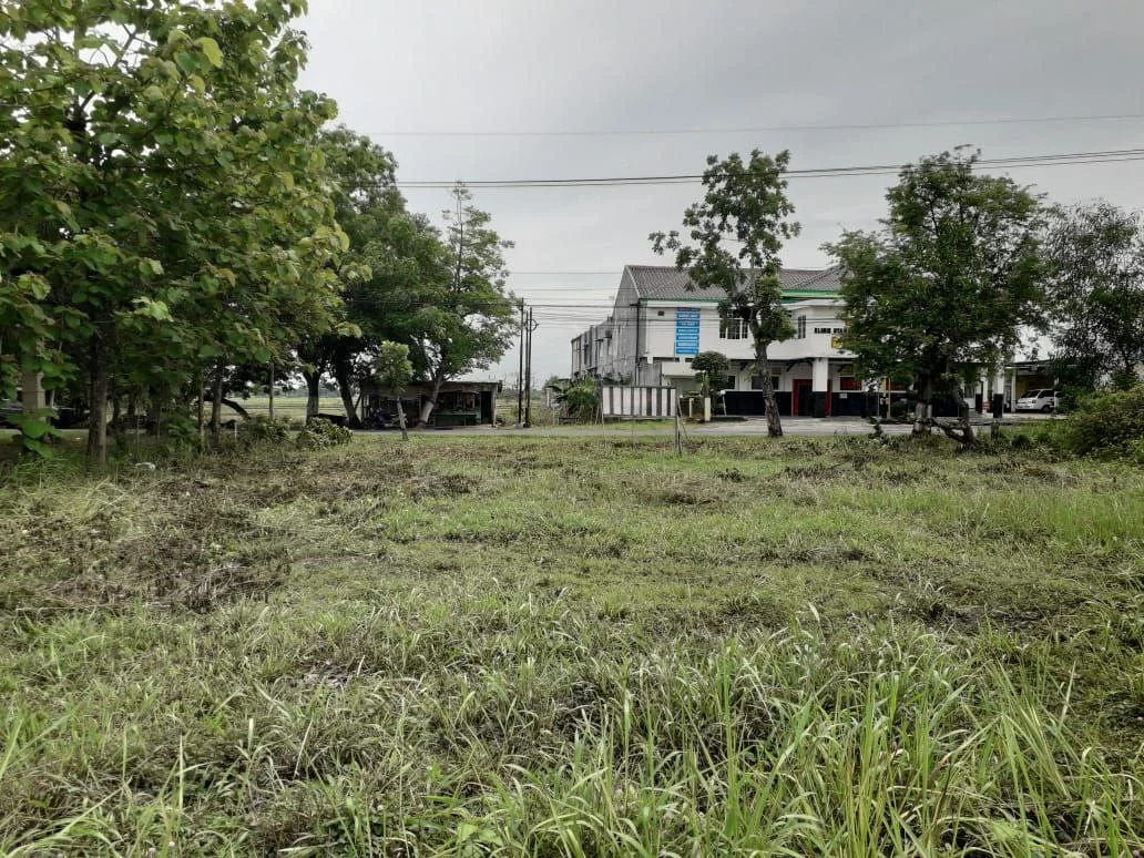 Dijual Tanah Lokasi Strategis di Kawasan Dander Nemon Bojonegoro - Thumbnail 2