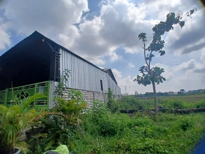 Dijual Rumah Luas Lokasi Strategis di Sumberagung Plumpang Tuban - Thumbnail 3