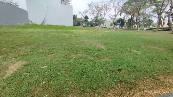 Disewakan Tanah Kavling Komersial Area North Emerald Mansion Citraland Surabaya Barat