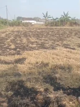 Dijual Cepat Tanah Komersial Lokasi Strategis di Kalanganyar Benjeng Gresik - Thumbnail 2