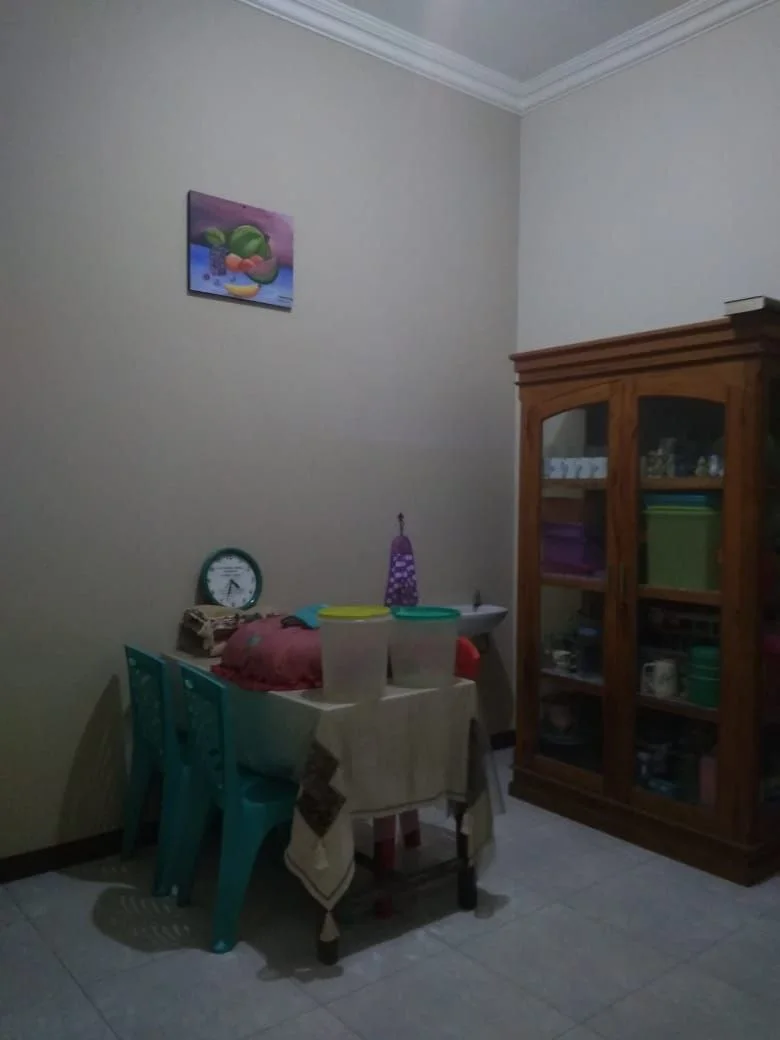 palem-ac-5