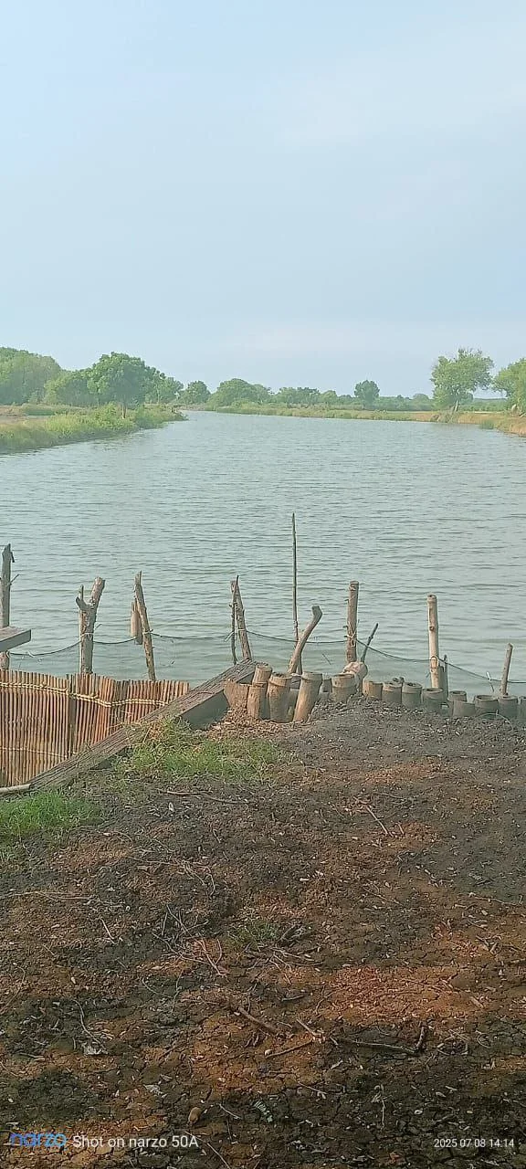 Dijual Tambak Produktif di Jalan Perikanan Kalianyar Bangil Pasuruan - Thumbnail 3