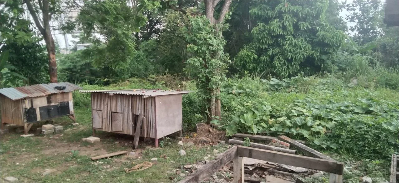 Dijual Tanah Strategis di Kembangan Selatan Jakarta Barat - Thumbnail 3