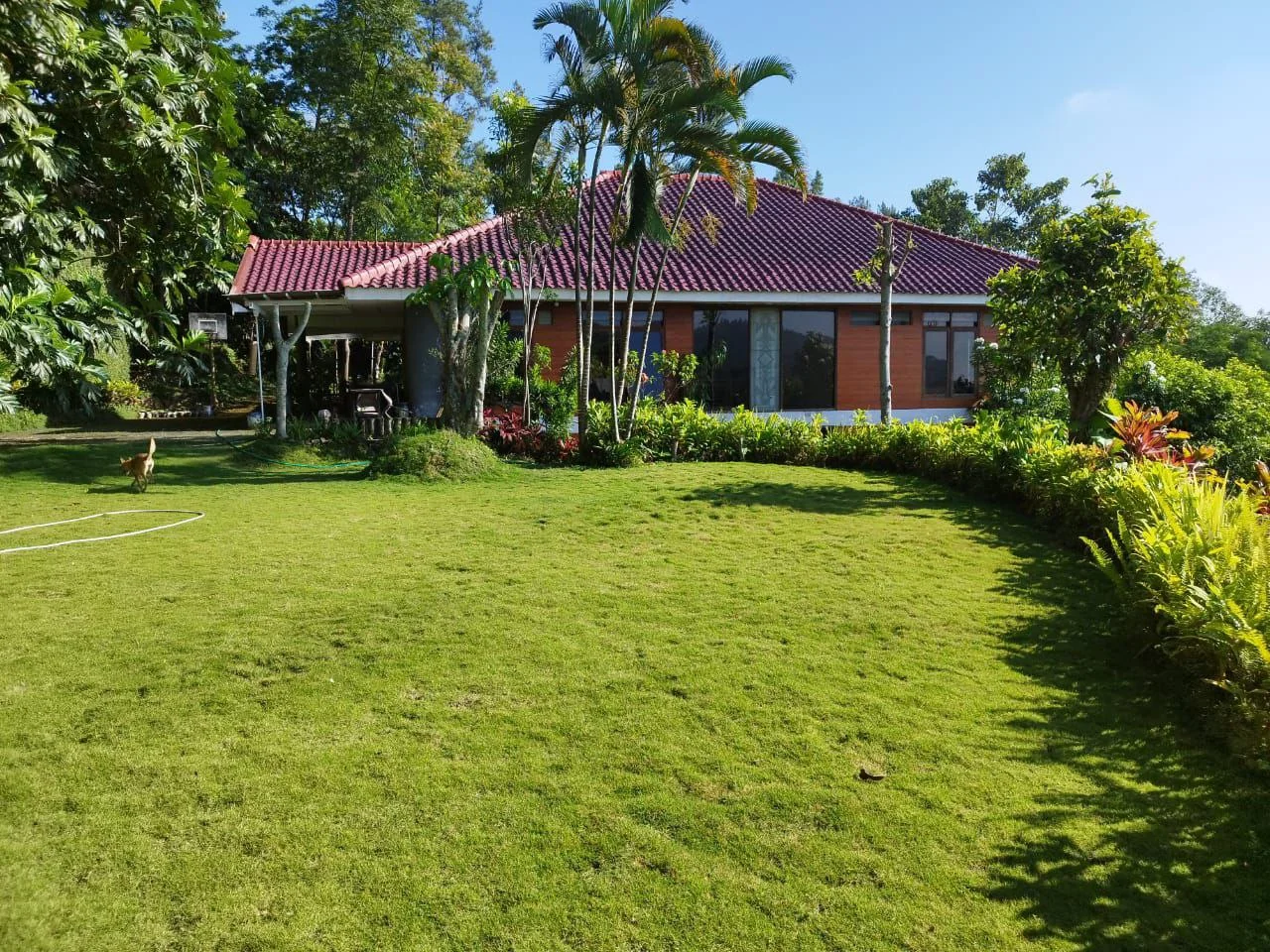Dijual Villa Mewah Dan Luas di Kawasan Premium Ledug Prigen Pasuruan - Thumbnail 2