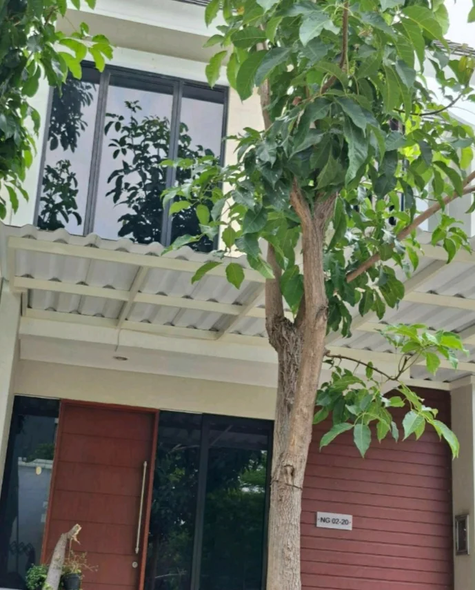 Disewakan-Rumah-Full-Furnish-Siap-Huni-di-Northwest-Lake-Citraland-Surabaya-Barat