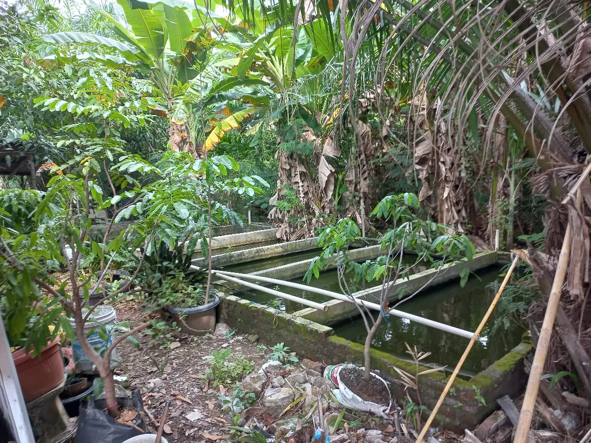 Dijual Rumah di Jl. Medokan Asri Timur Surabaya Timur – Shm Hadap Utara - Thumbnail 4