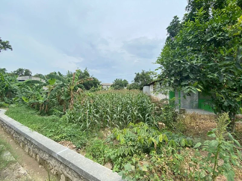 Dijual Tanah Luas di Jalan Raya Deandels Banyutengah Gresik - Thumbnail 2