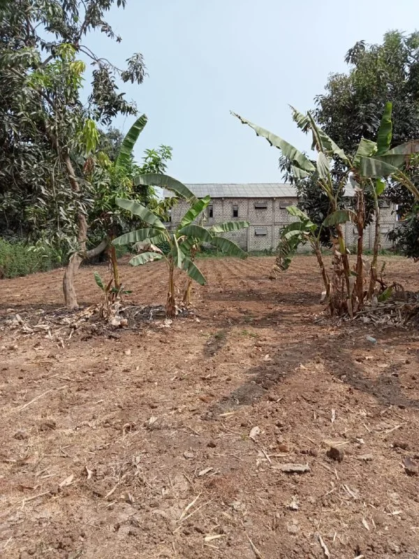 Dijual Tanah Luas di Jalan Raya Deandels Banyutengah Gresik - Thumbnail 3