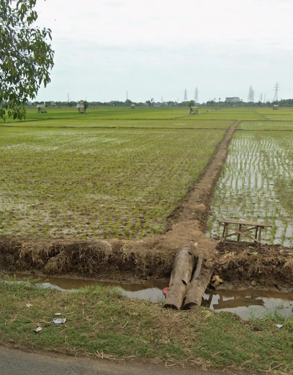 Jual-Kavling-Tanah-Tuban-43-Hektar-Murah-Lokasi-Strategis-di-Tuban-Jawa-Timur