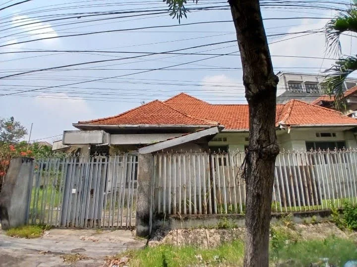 ketupa