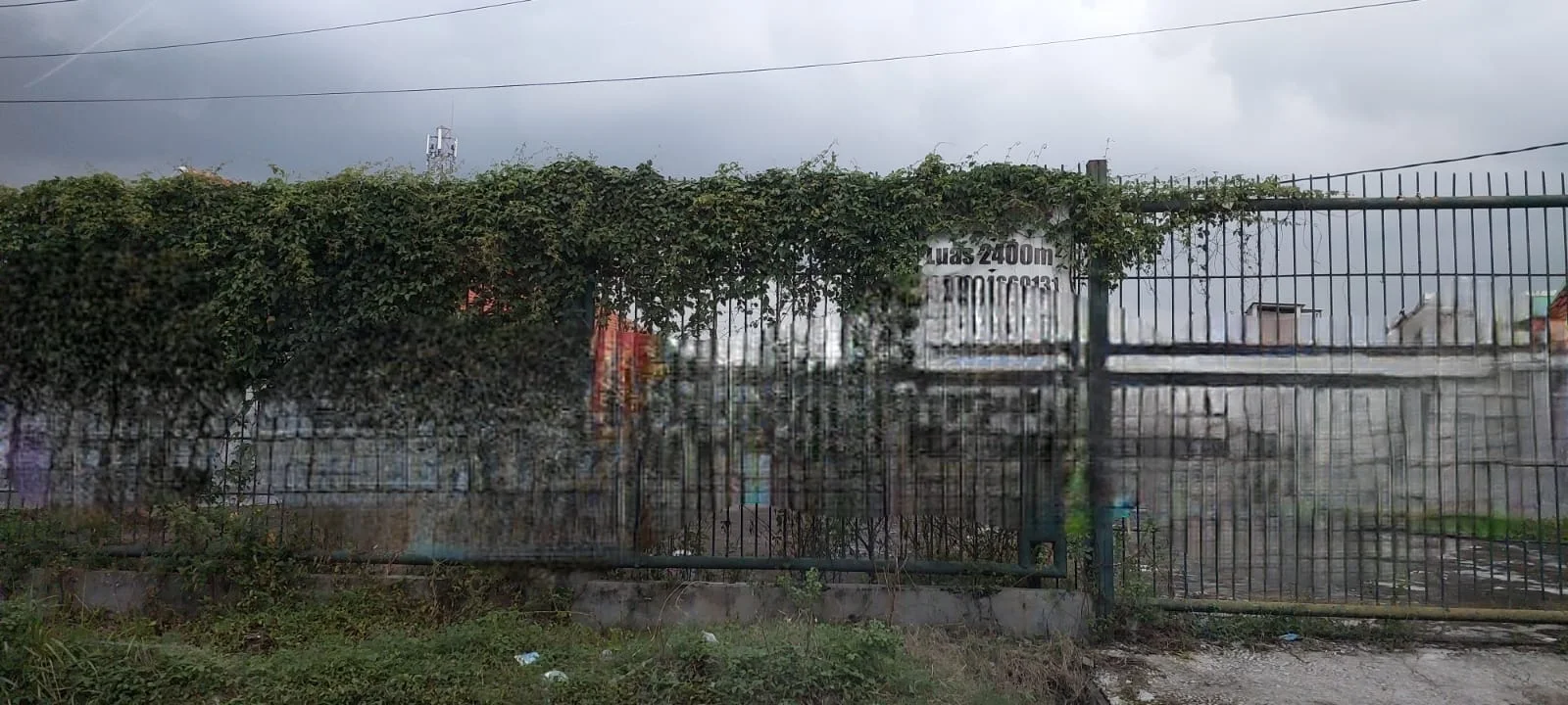 tanah-raya-lontar