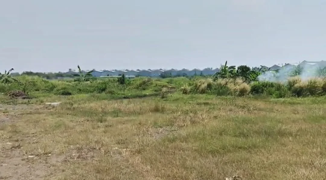 Jual Tanah Komersial Industri Lokasi Strategis di Raya By Pass Krian Balongbendo Sidoarjo - Thumbnail 3