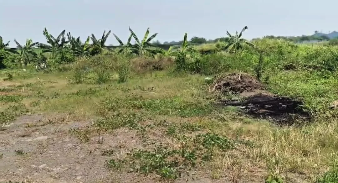 Jual Tanah Indutri Komersial Lokasi  Strategis di Raya By Pass Krian Balongbendo, Sidoarjo - Thumbnail 4