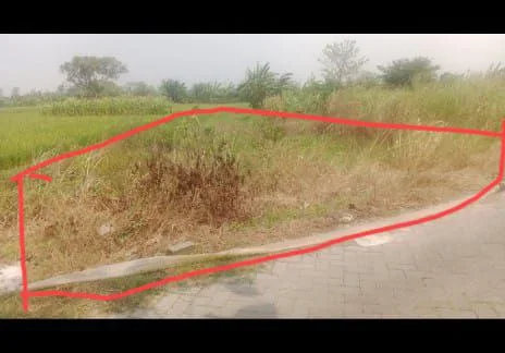 Dijual Tanah Lokasi Strategis di Wilayah Benjeng Gresik - Thumbnail 2