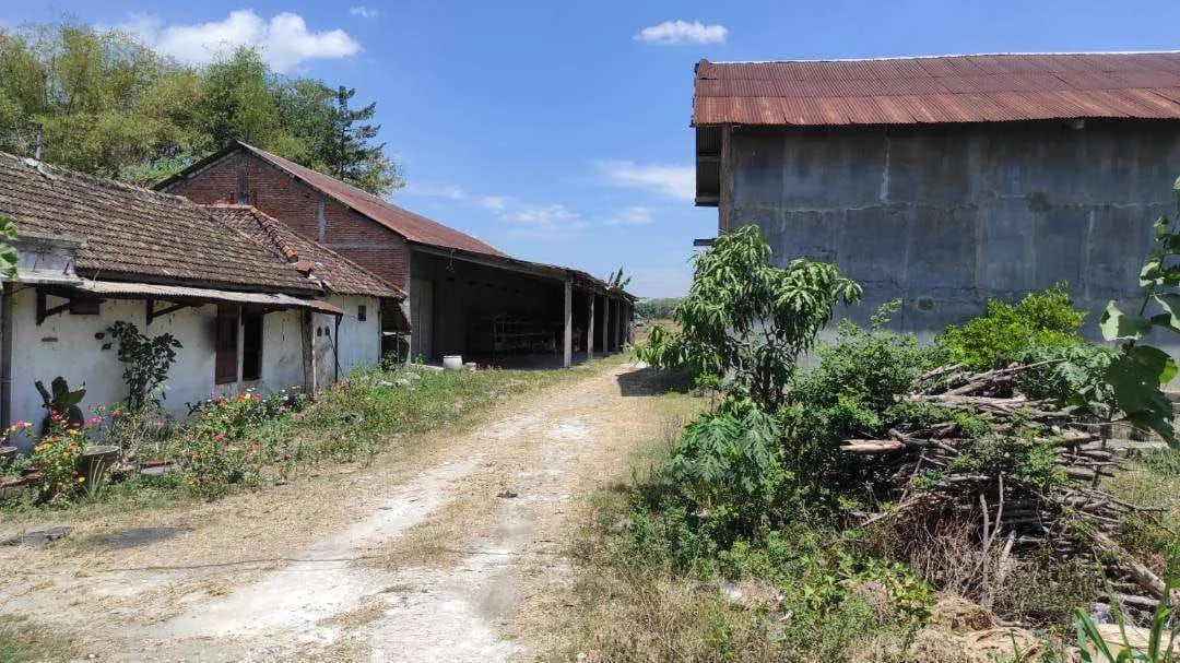 Dijual/Disewakan Gudang Luas di Wilayah Raya Soko Tuban - Thumbnail 4