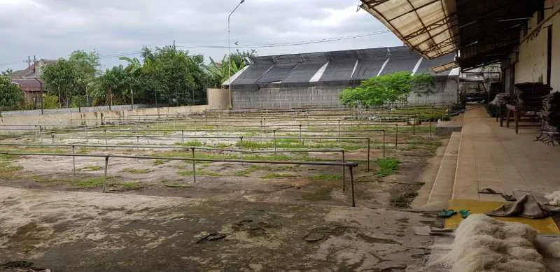 Dijual/Disewakan Gudang Luas dan Strategis di Raya Trosobo Sidoarjo - Thumbnail 8