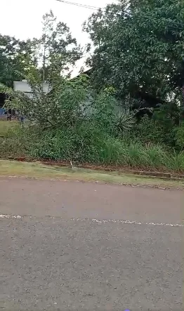 Dijual Tanah Kebun Luas di Giri Mukti Kabupaten Sukabumi
