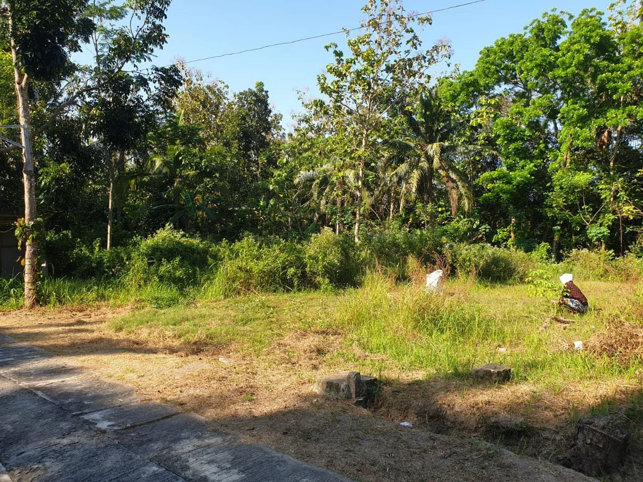 Dijual Tanah Lokasi Strategis di Wilayah Bangunjiwo Kabupaten Bantul - Thumbnail 5