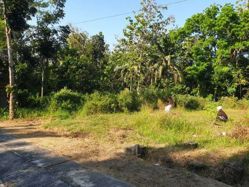 Dijual Tanah Lokasi Strategis di Wilayah Bangunjiwo Kabupaten Bantul - Thumbnail 8