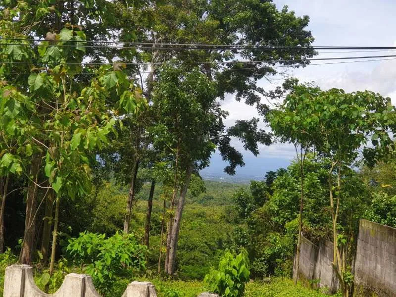 Dijual Tanah Luas dan Strategis di Wilayah Bangunjiwo Kabupaten Bantul - Thumbnail 11
