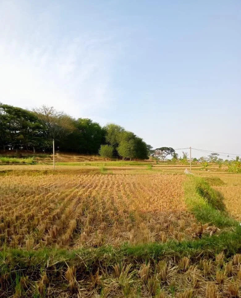 Dijual Tanah Lokasi Strategis Peluang Investasi di Pandaan - Image 1