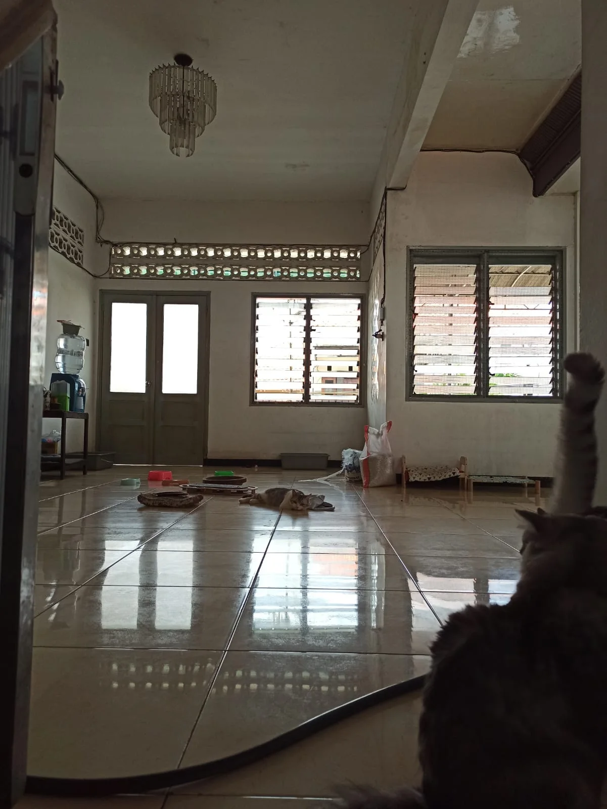 Dijual Rumah 2 Lantai di Jl. Ambengan Surabaya Pusat – Luas, Strategis, dan Cocok untuk Hunian atau Usaha - Thumbnail 5