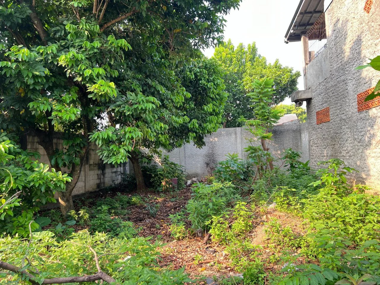 Dijual Tanah Komersial Strategis di Kawasan Jalan Suka Karya Tangerang Selatan - Thumbnail 5