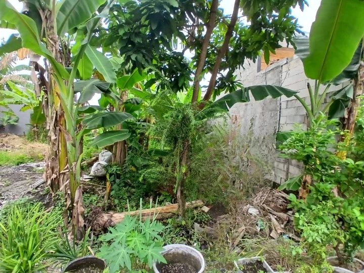 Dijual Tanah Murah di Jalan Rejosari Surabaya Barat - Image 1