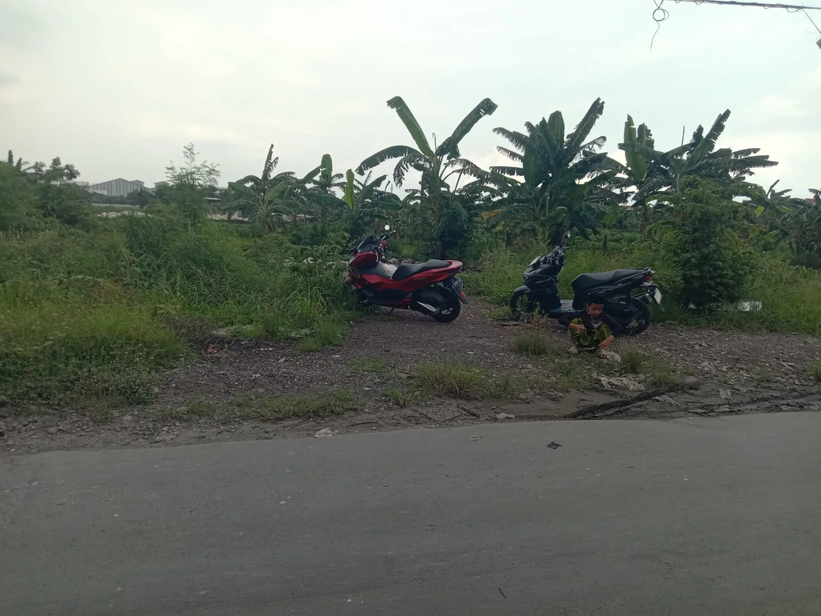 Jual tanah 0 jalan Raya Pakal Citraland - Untuk Perumahan Surabaya Barat