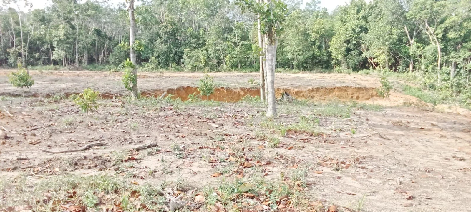 Dijual Tanah Luas Lokasi Potensial di Kawasan Buluh Tumbang Bangka Belitung - Thumbnail 4