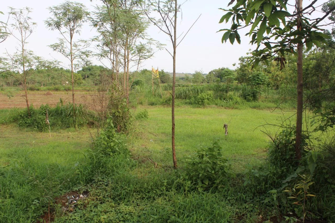 Dijual Tanah Luas Lokasi Potensial di Kawasan Morkepek Madura