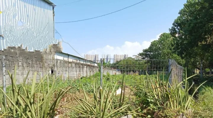 Jual Cepat Tanah Komersial Murah Strategis Raya kenjeran Surabaya