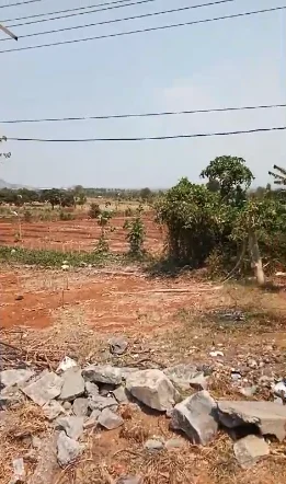 Dijual Tanah Nol Jalan Raya di Desa Sidomukti Lamongan