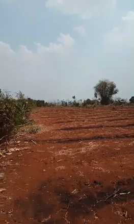 Dijual Tanah Nol Jalan Raya di Desa Sidomukti Lamongan - Thumbnail 3