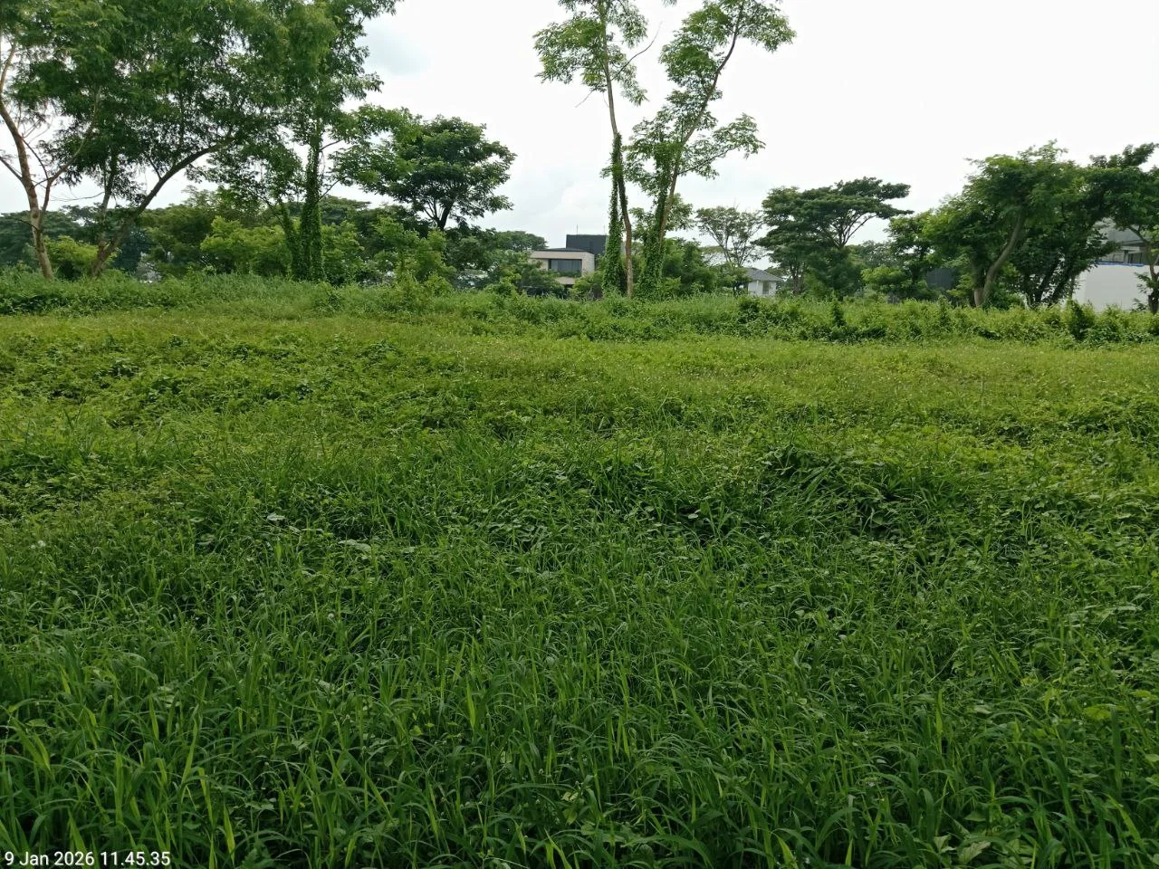 Jual Tanah Bukit Golf International Lokasi Premium Citraland Surabaya Barat