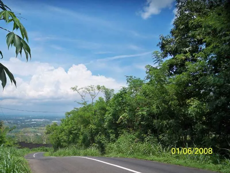 Disewakan Lahan Kebon Lokasi Strategis Nongkojajar Tutur Pasuruan Jatim - Image 1
